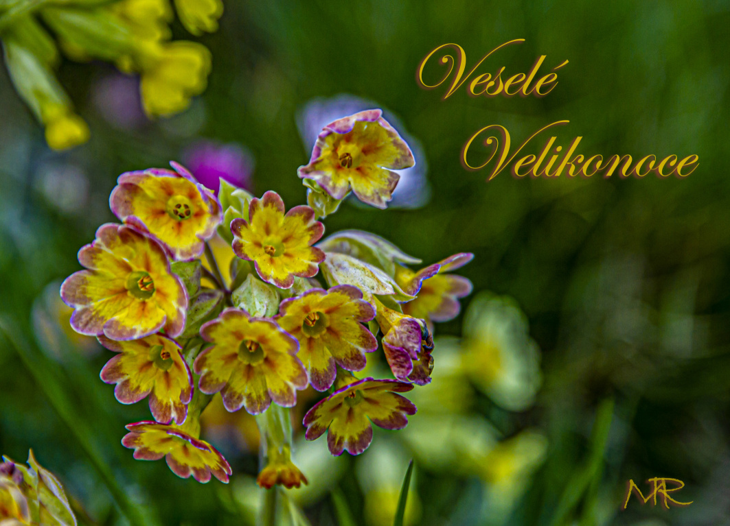 Veselé Velikonoce